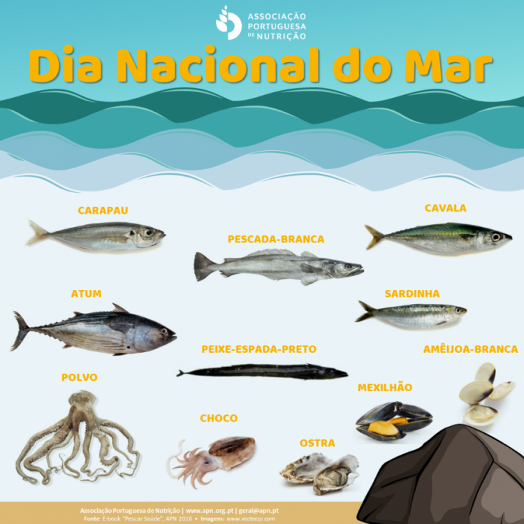 Algumas espécies de Pescado do Mar Português
